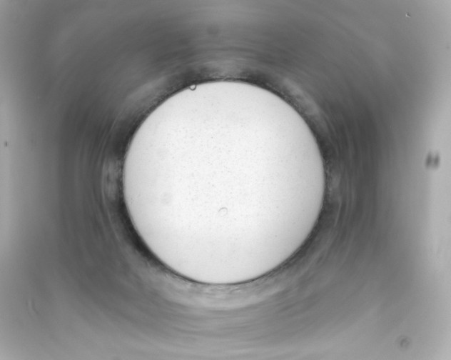 X0000090420026200708101953