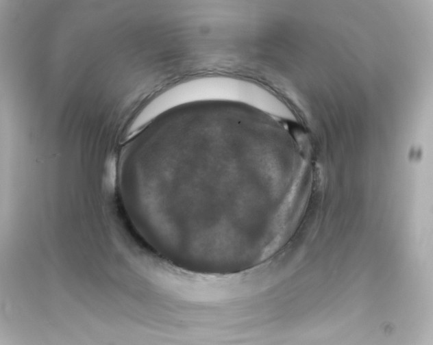 X0000090420027200708101953