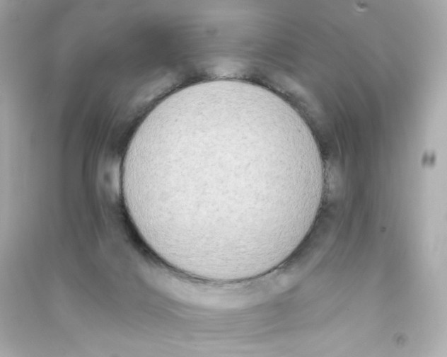 X0000090420028200708101953