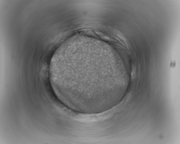 X0000090420029200708101953