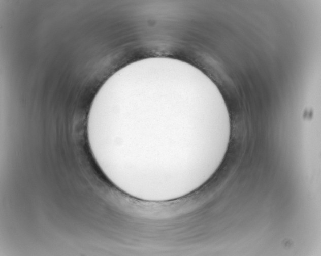 X0000090420030200708101953