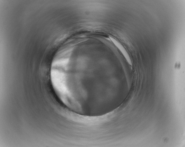 X0000090420031200708101953