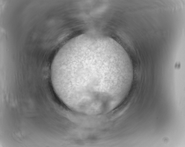 X0000090420032200708101953