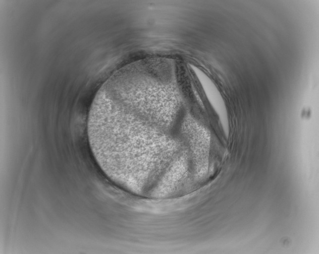 X0000090420033200708101953