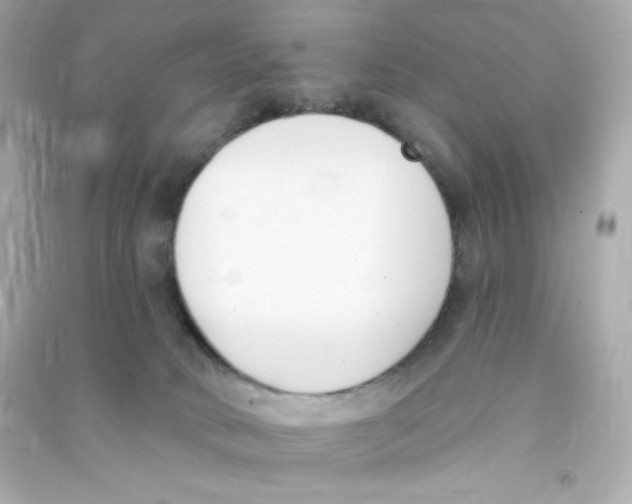 X0000090420034200708101953