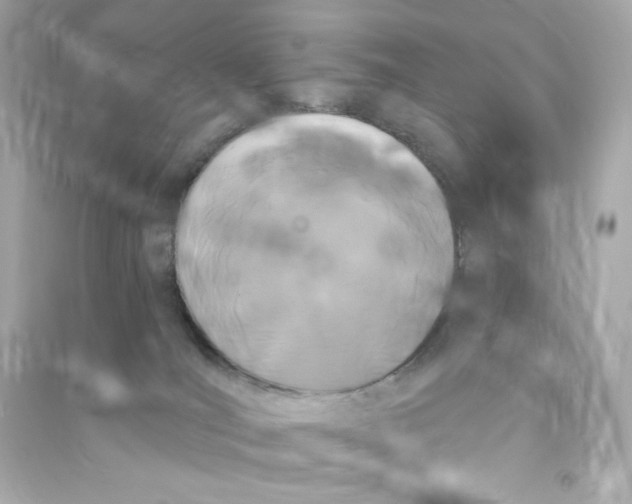 X0000090420036200708101953