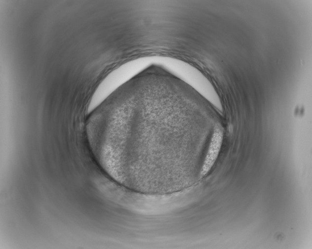 X0000090420037200708101953