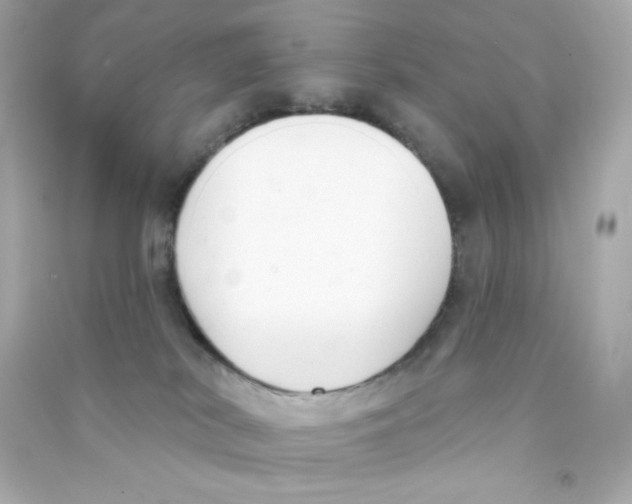 X0000090420038200708101952