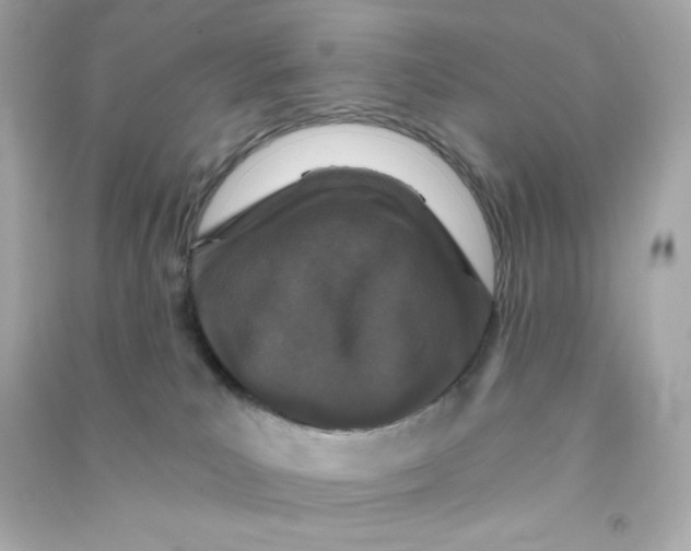 X0000090420039200708101952