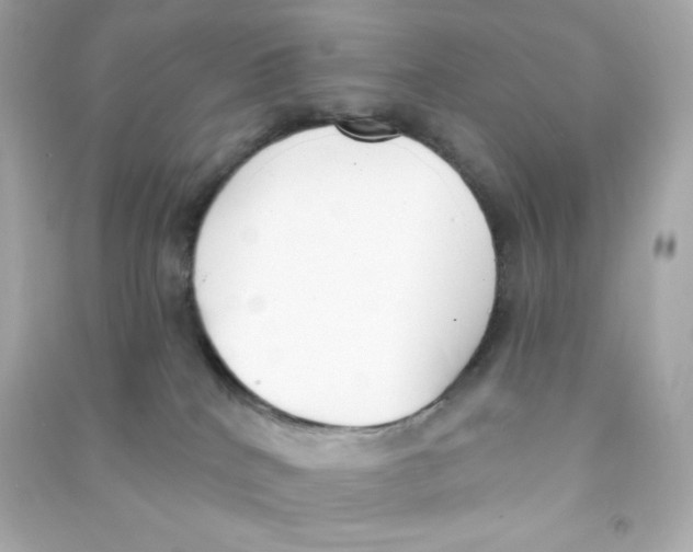 X0000090420040200708101952