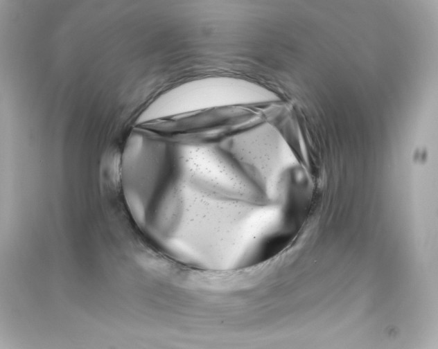 X0000090420041200708101952