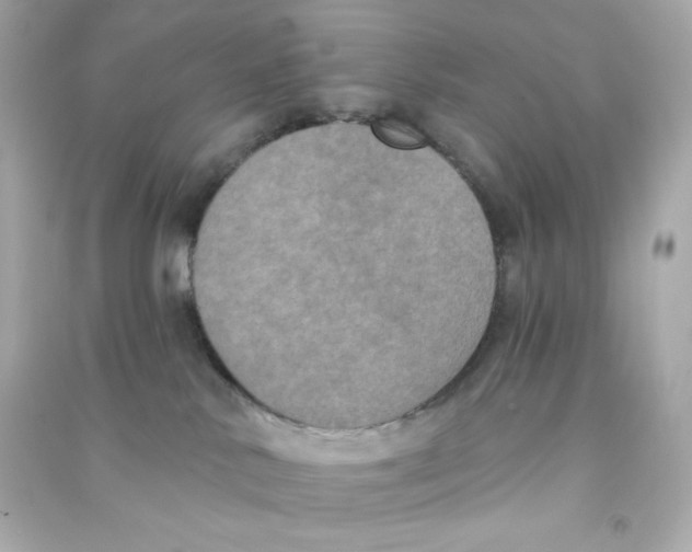 X0000090420042200708101952
