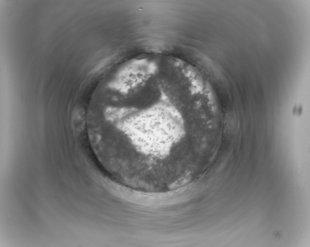 X0000090420043200708101952