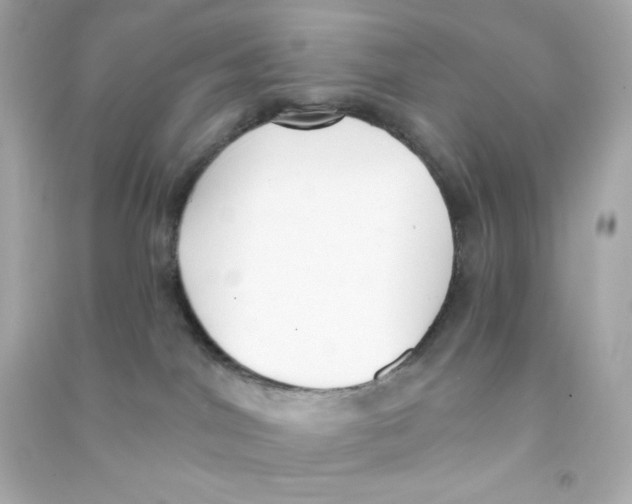 X0000090420044200708101952