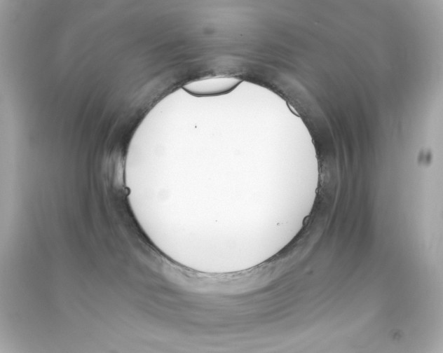 X0000090420046200708101952
