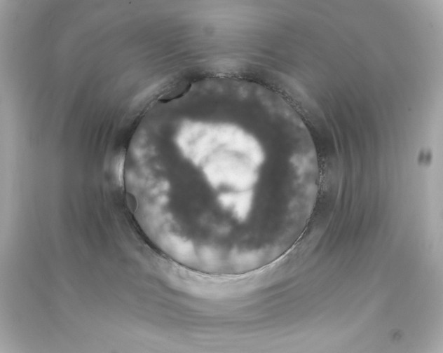 X0000090420047200708101952