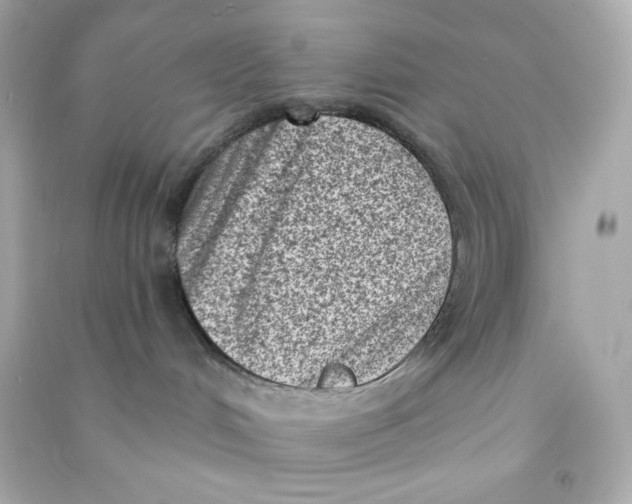 X0000090420048200708101952