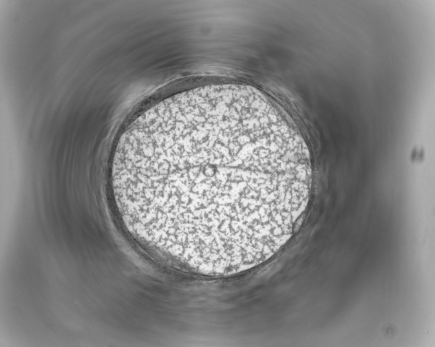 X0000090420049200708101952