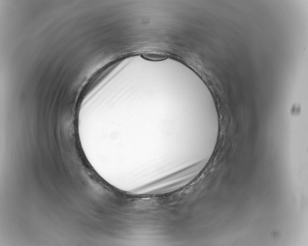 X0000090420050200708101952