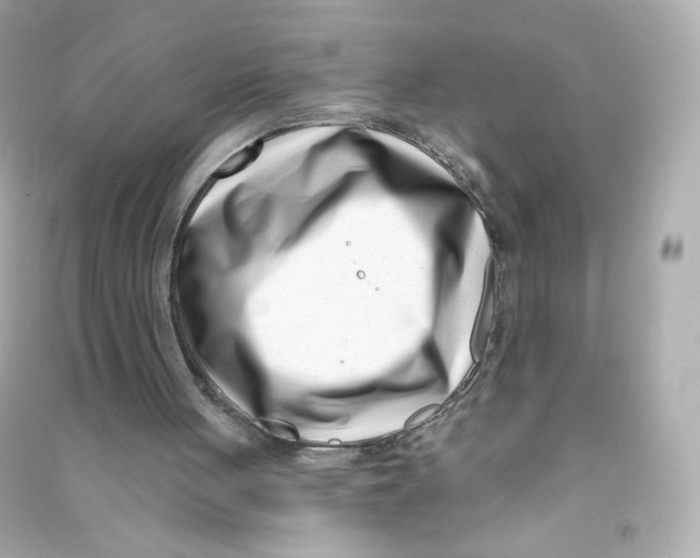 X0000090420051200708101952