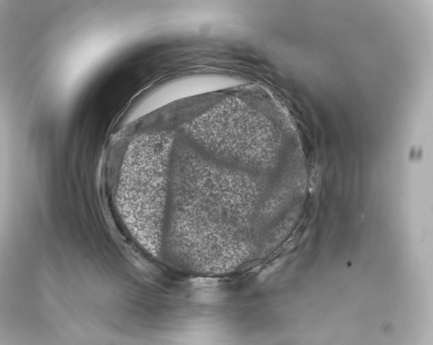 X0000090420052200708101952