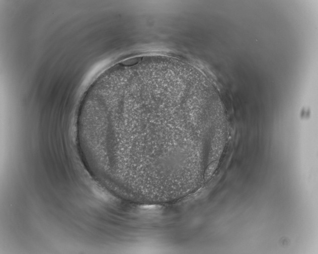 X0000090420053200708101952