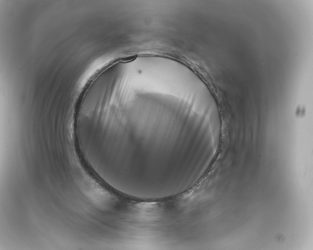 X0000090420054200708101952