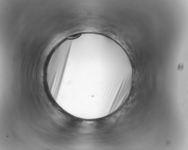 X0000090420055200708101952