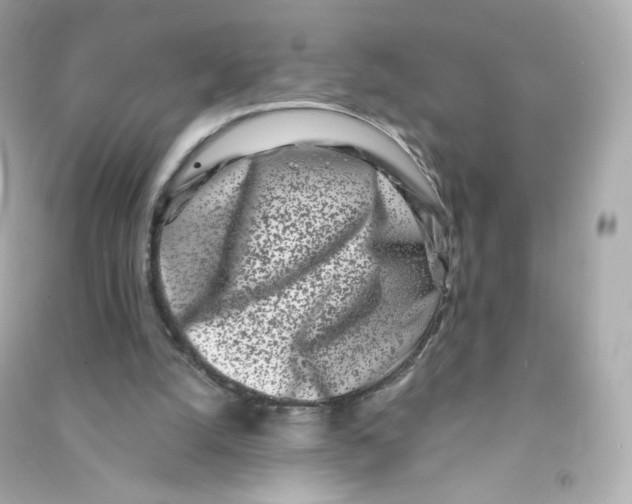 X0000090420056200708101952