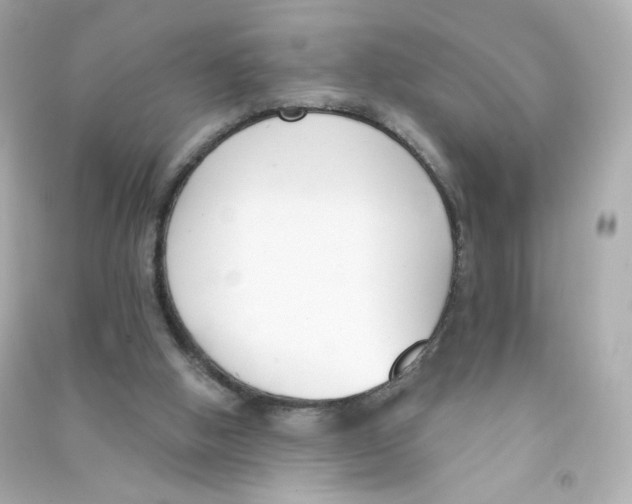 X0000090420058200708101952