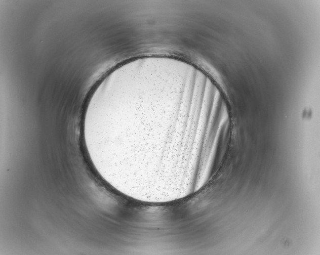 X0000090420059200708101952