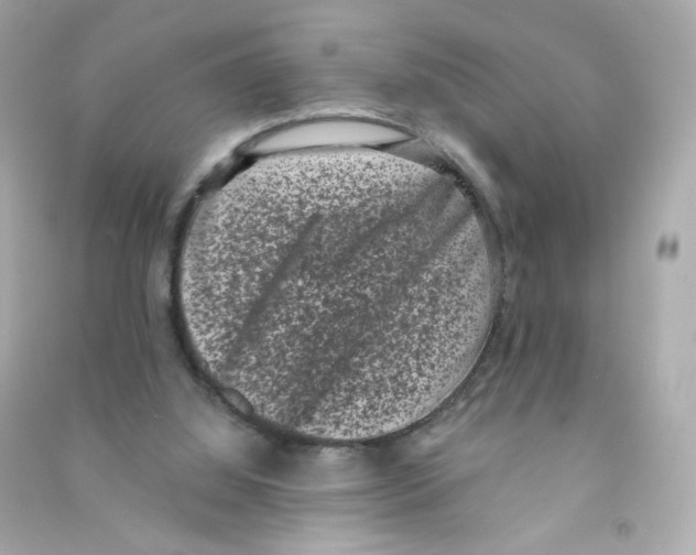 X0000090420060200708101952
