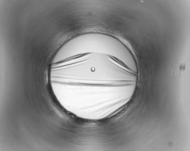 X0000090420061200708101952
