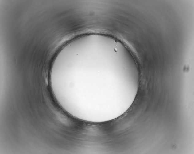 X0000090420062200708101952