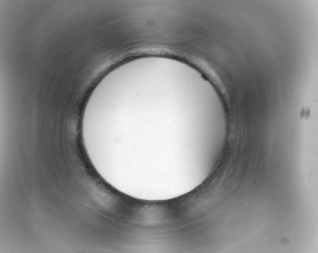 X0000090420063200708101952
