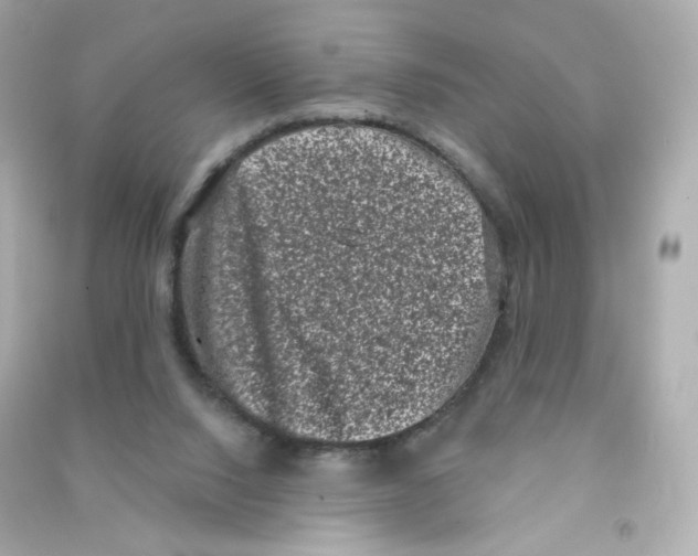 X0000090420064200708101952