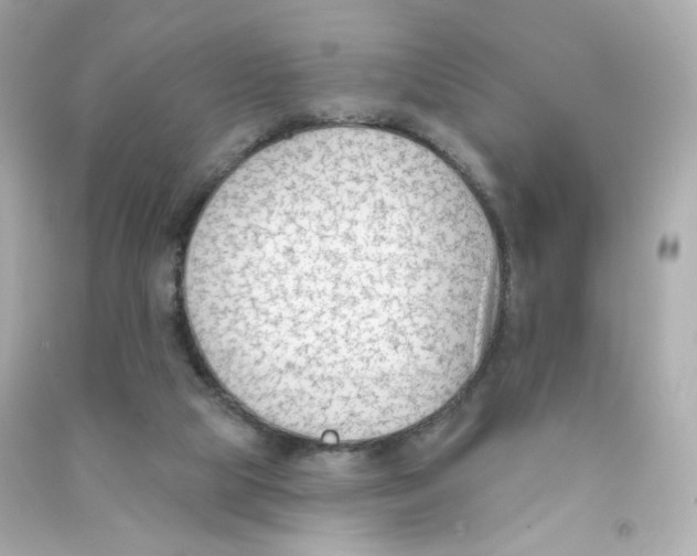 X0000090420065200708101952