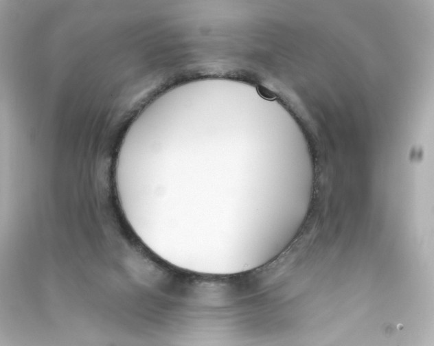 X0000090420066200708101952
