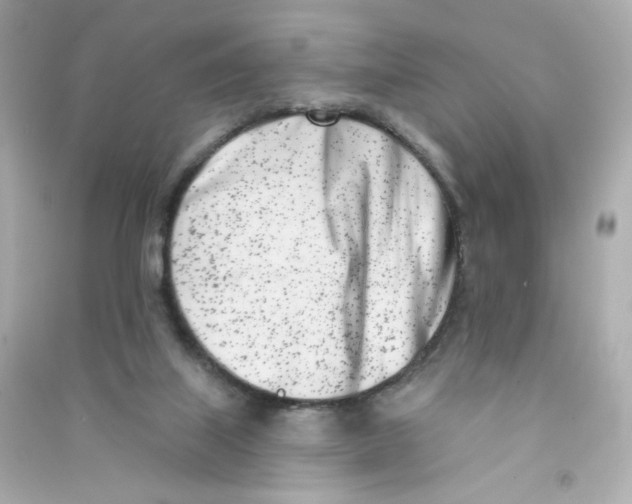 X0000090420067200708101952