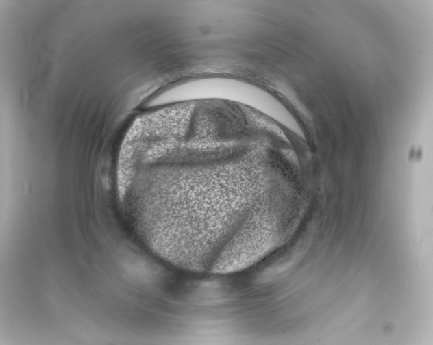 X0000090420068200708101952