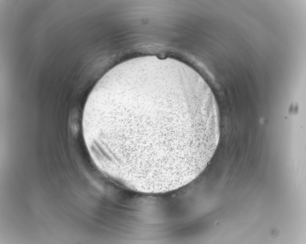 X0000090420069200708101952