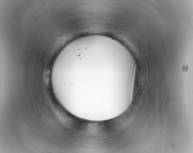 X0000090420070200708101952