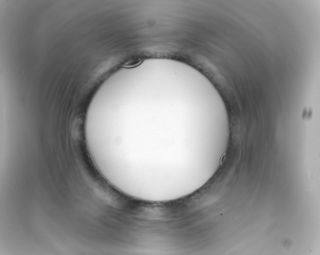 X0000090420071200708101952
