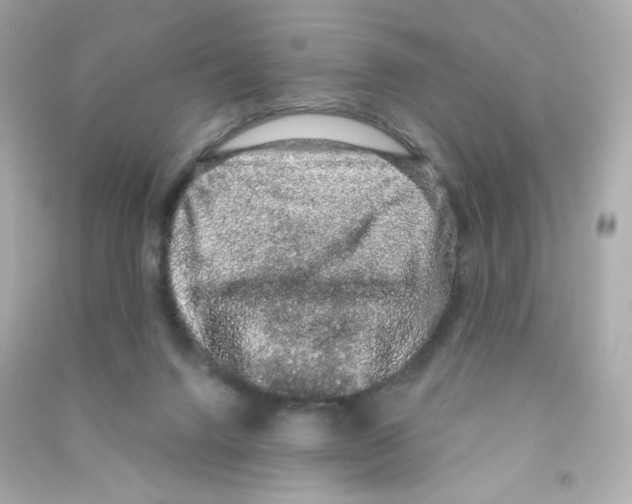 X0000090420072200708101952