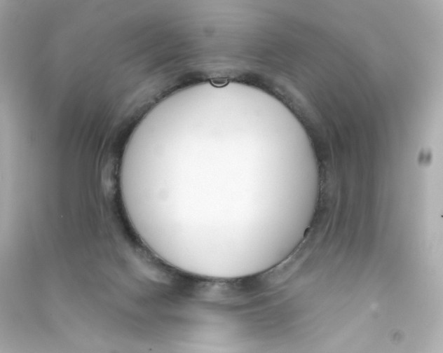 X0000090420074200708101952