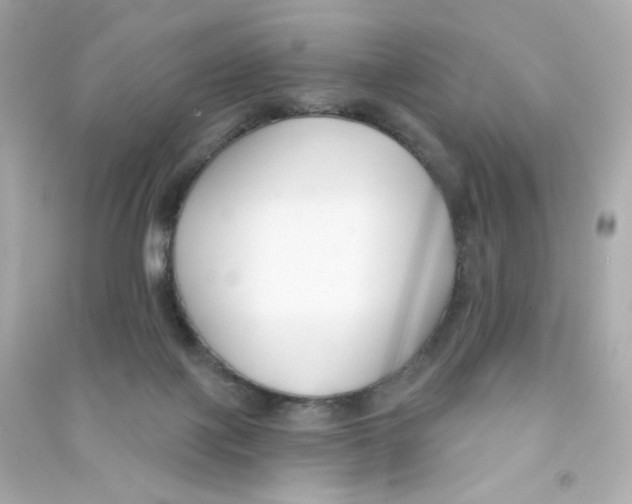 X0000090420075200708101952