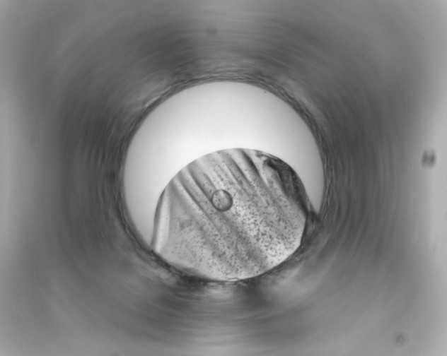 X0000090420076200708101952