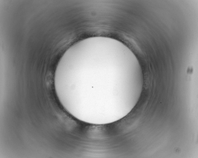 X0000090420077200708101952