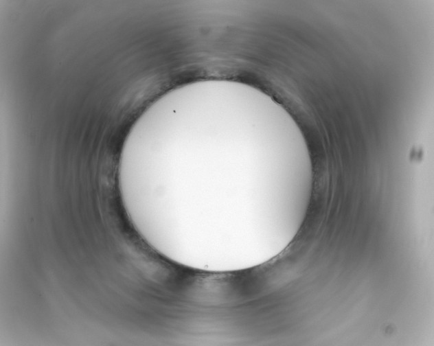 X0000090420078200708101952