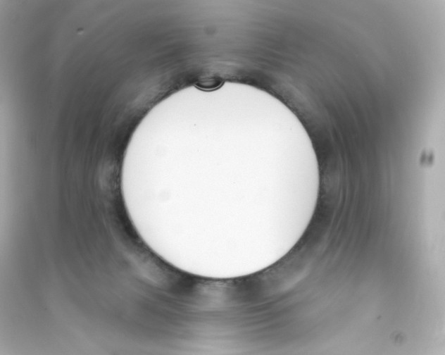 X0000090420079200708101952